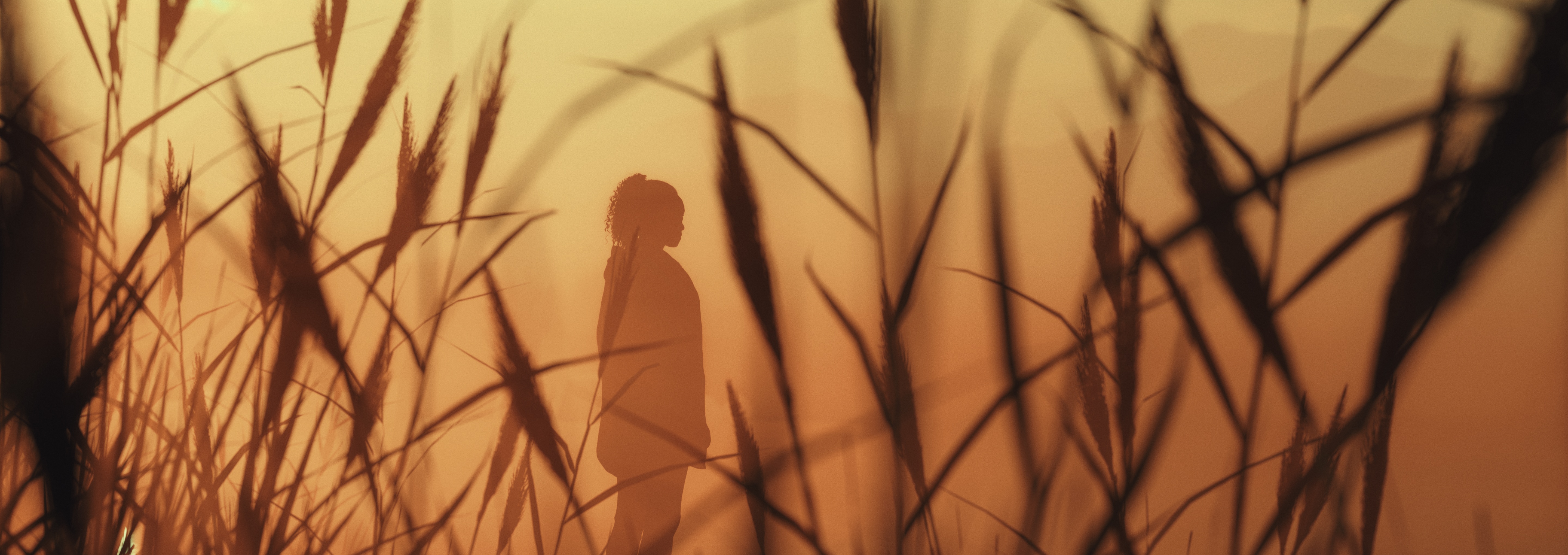 Alan Wake 2